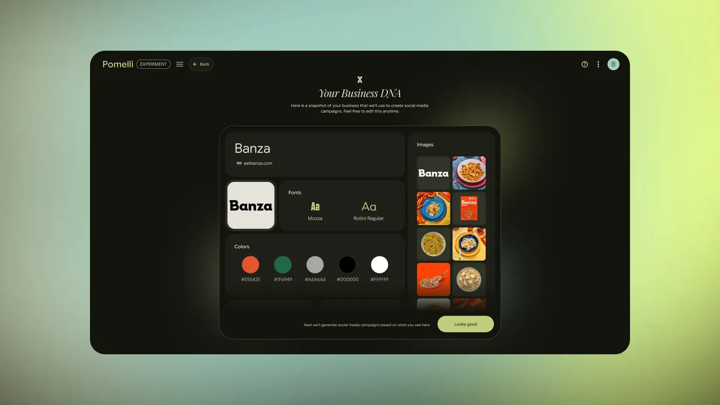 Real Pomelli Business DNA UI showing fonts and colours.